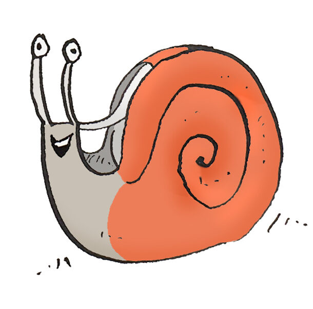 snail